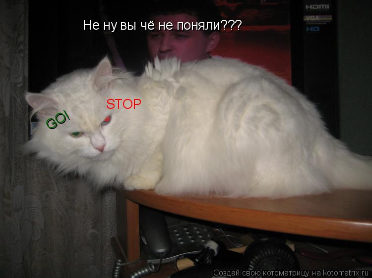 Не ну вы чё не поняли??? STOP GO!... Котоматрица: Не ну вы чё не поняли??? STOP GO!