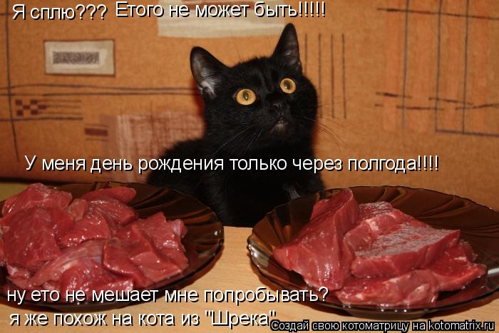 У меня день рождения только через полгода!!!! Я сплю??? Етого не может быть!!!!! я же похож на кота и... Котоматрица: У меня день рождения только через полгода!!!! Я сплю??? Етого не может быть!!!!! я же похож на кота из "Шрека" ну ето не мешает мне попробывать?