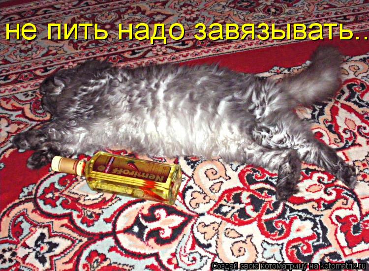 не пить надо завязывать......... Котоматрица: не пить надо завязывать......