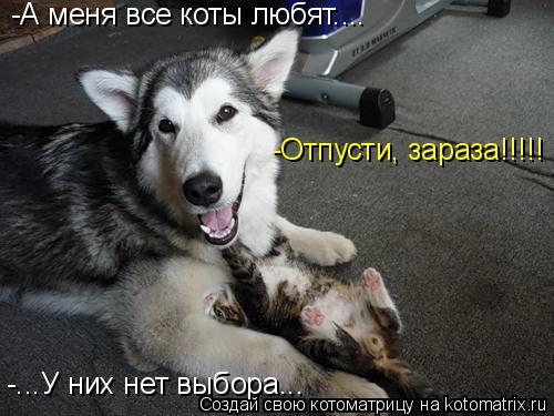 -А меня все коты любят.... -Отпусти, зараза!!!!! -...У них нет выбора...... Котоматрица: -А меня все коты любят.... -Отпусти, зараза!!!!! -...У них нет выбора...