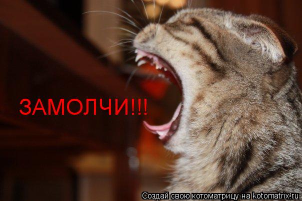 ЗАМОЛЧИ!!!... Котоматрица: ЗАМОЛЧИ!!!