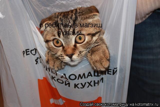 о ребят вы в магзиш я свами... Котоматрица: о ребят вы в магзиш я свами