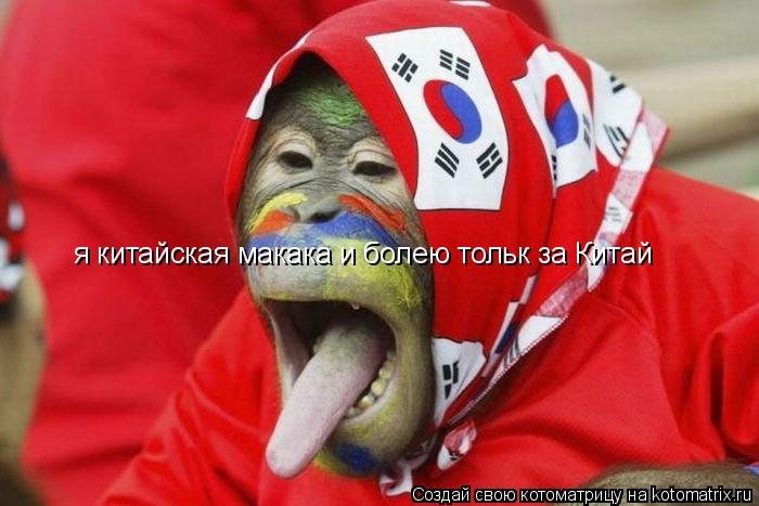 я китайская макака и болею тольк за Китай... Котоматрица: я китайская макака и болею тольк за Китай