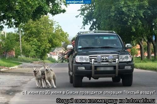 с 1 июня по 30 июня в Омске проводится операция "Чистый воздух".... Котоматрица: с 1 июня по 30 июня в Омске проводится операция "Чистый воздух".