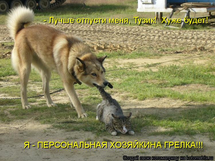 - Лучше отпусти меня, Тузик! Хуже будет! Я - ПЕРСОНАЛЬНАЯ ХОЗЯЙКИНА ГРЕЛКА!!!... Котоматрица: - Лучше отпусти меня, Тузик! Хуже будет! Я - ПЕРСОНАЛЬНАЯ ХОЗЯЙКИНА ГРЕЛКА!!!