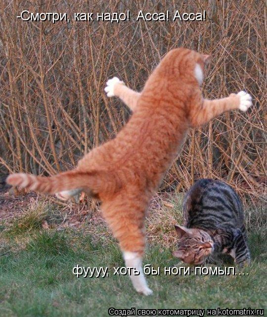 -Смотри, как надо! Асса! Асса! фуууу, хоть бы ноги помыл.... фуууу, хоть бы ноги помыл....... Котоматрица: -Смотри, как надо! Асса! Асса! фуууу, хоть бы ноги помыл.... фуууу, хоть бы ноги помыл....