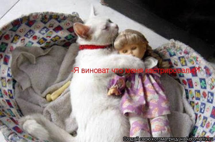 -Я виноват что меня кастрировали?!... Котоматрица: -Я виноват что меня кастрировали?!