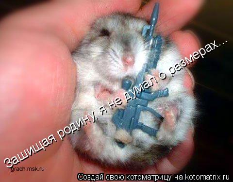 Зашищая родину, я не думал о размерах...... Котоматрица: Зашищая родину, я не думал о размерах...