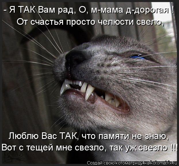 - Я ТАК Вам рад, О, м-мама д-дорогая ! От счастья просто челюсти свело, Люблю Вас ТАК, что памяти не ... Котоматрица: - Я ТАК Вам рад, О, м-мама д-дорогая ! От счастья просто челюсти свело, Люблю Вас ТАК, что памяти не знаю, Вот с тещей мне свезло, так уж свезло !!!