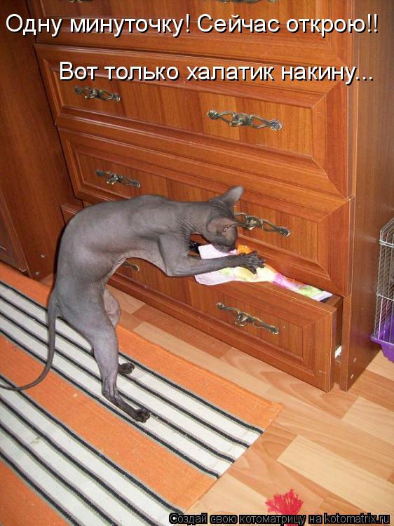 Одну минуточку! Сейчас открою!! Вот только халатик накину...... Котоматрица: Одну минуточку! Сейчас открою!! Вот только халатик накину...