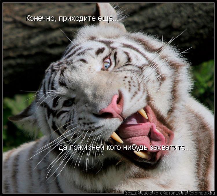 Конечно, приходите ещё... да пожирней кого нибудь захватите...... Котоматрица: Конечно, приходите ещё... да пожирней кого нибудь захватите...