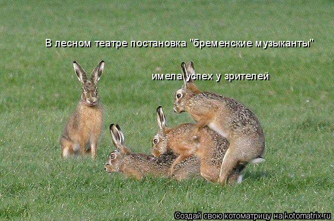 В лесном театре постановка "бременские музыканты" имела успех у зрителей... Котоматрица: В лесном театре постановка "бременские музыканты" имела успех у зрителей