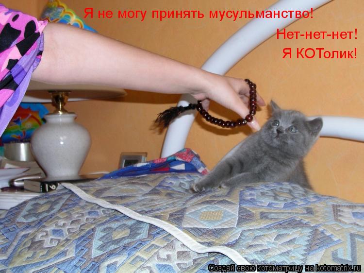 Нет-нет-нет! Я КОТолик! Я не могу принять мусульманство!... Котоматрица: Нет-нет-нет! Я КОТолик! Я не могу принять мусульманство!