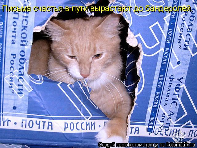Письма счастья в пути вырастают до бандеролей.... Котоматрица: Письма счастья в пути вырастают до бандеролей.