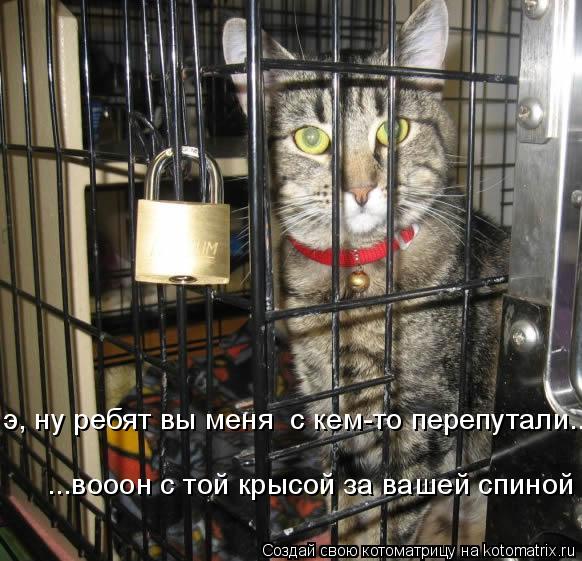 э, ну ребят вы меня с кем-то перепутали... ...вооон с той крысой за вашей спиной... Котоматрица: э, ну ребят вы меня с кем-то перепутали... ...вооон с той крысой за вашей спиной