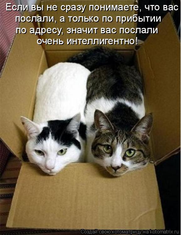 Если вы не сразу понимаете, что вас послали, а только по прибытии по адресу, значит вас послали очень... Котоматрица: Если вы не сразу понимаете, что вас послали, а только по прибытии по адресу, значит вас послали очень интеллигентно!