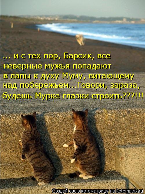 Котоматрица: неверные мужья попадают ... и с тех пор, Барсик, все  в лапы к духу Муму, витающему  над побережьем...Говори, зараза, будешь Мурке глазки строить