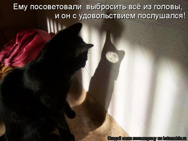 Ему посоветовали выбросить всё из головы, и он с удовольствием послушался!... Котоматрица: Ему посоветовали выбросить всё из головы, и он с удовольствием послушался!