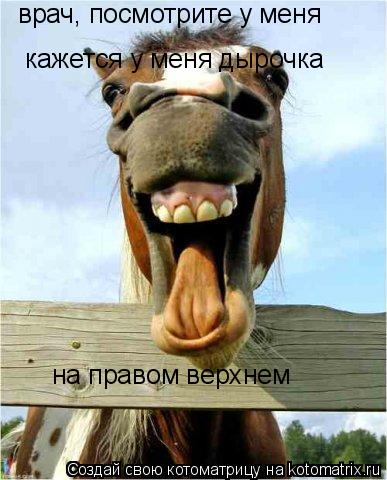 врач, посмотрите у меня кажется у меня дырочка на правом верхнем... Котоматрица: врач, посмотрите у меня кажется у меня дырочка на правом верхнем