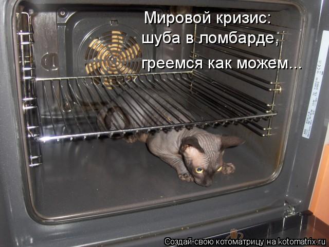 Мировой кризис: шуба в ломбарде, греемся как можем...... Котоматрица: Мировой кризис: шуба в ломбарде, греемся как можем...