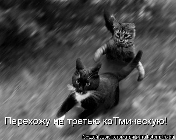 Перехожу на третью коТмическую!... Котоматрица: Перехожу на третью коТмическую!