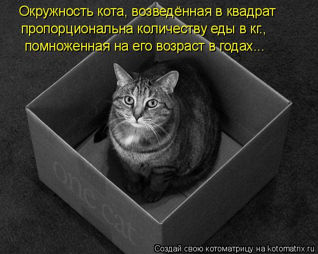 Окружность кота, возведённая в квадрат пропорциональна количеству еды в кг., помноженная на его возр... Котоматрица: Окружность кота, возведённая в квадрат пропорциональна количеству еды в кг., помноженная на его возраст в годах...