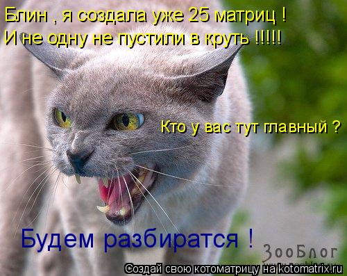 И не одну не пустили в круть !!!!! И не одну не пустили в круть !!!!! Кто у вас тут главный ? Будем р... Котоматрица: И не одну не пустили в круть !!!!! И не одну не пустили в круть !!!!! Кто у вас тут главный ? Будем разбиратся ! Блин , я создала уже 25 матриц !