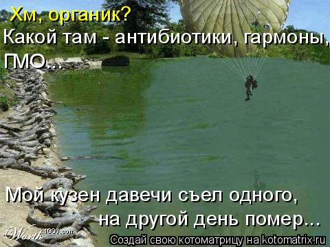 Хм, органик? Какой там - антибиотики, гармоны, ГМО... Мой кузен давечи съел одного, на другой день... Котоматрица: Хм, органик? Какой там - антибиотики, гармоны, ГМО... Мой кузен давечи съел одного, на другой день помер...