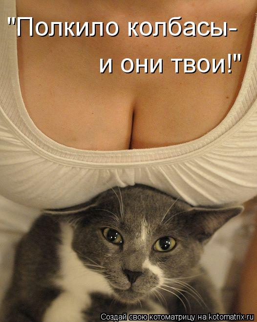 "Полкило колбасы- и они твои!"... Котоматрица: "Полкило колбасы- и они твои!"