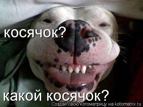 косячок? какой косячок?... Котоматрица: косячок? какой косячок?