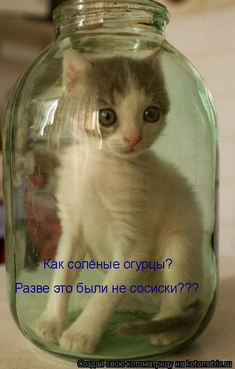 Котоматрица: - Как солёные огурцы?  Разве это были не сосиски???