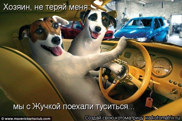 Хозяин, не теряй меня: мы с Жучкой поехали туситься...... Котоматрица: Хозяин, не теряй меня: мы с Жучкой поехали туситься...