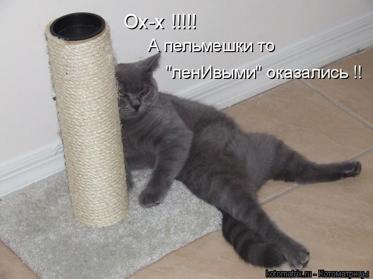 Ох-х !!!!! А пельмешки то "ленИвыми" оказались !!... Котоматрица: Ох-х !!!!! А пельмешки то "ленИвыми" оказались !!