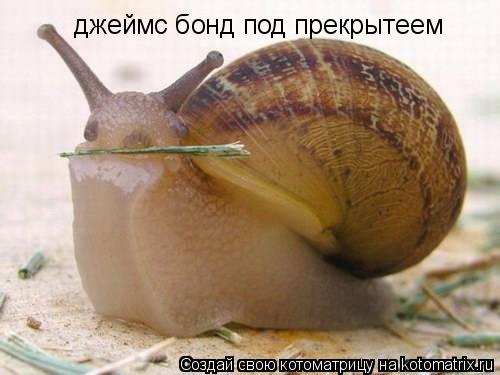 джеймс бонд под прекрытеем... Котоматрица: джеймс бонд под прекрытеем
