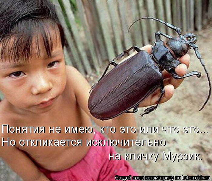 Понятия не имею, кто это или что это... Но откликается исключительно на кличку Мурзик.... Котоматрица: Понятия не имею, кто это или что это... Но откликается исключительно на кличку Мурзик.