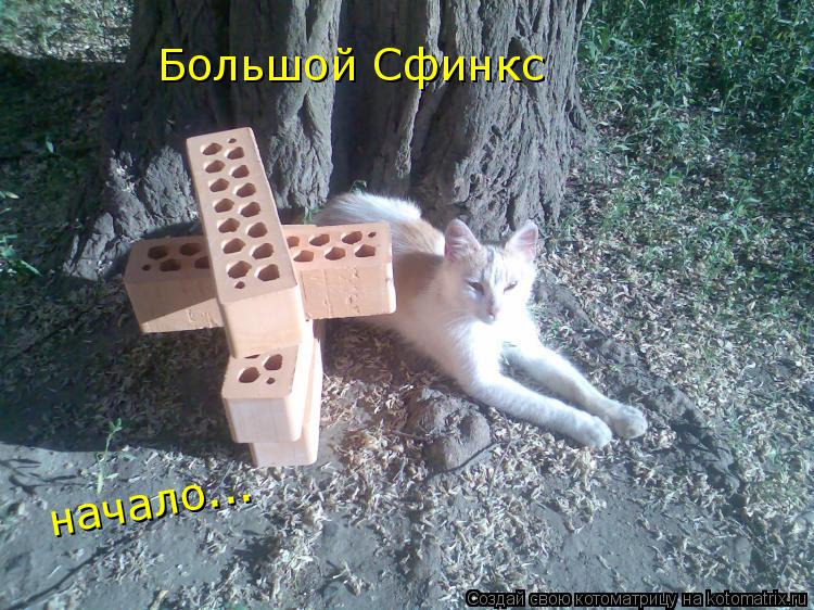 Большой Сфинкс начало...... Котоматрица: Большой Сфинкс начало...