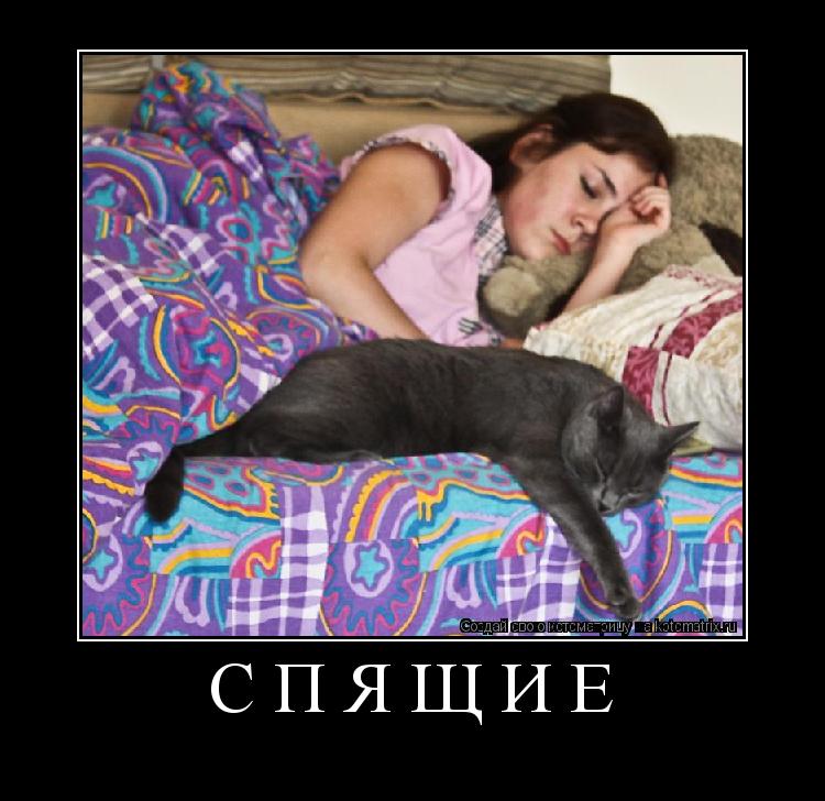 спящие ... Котоматрица: спящие