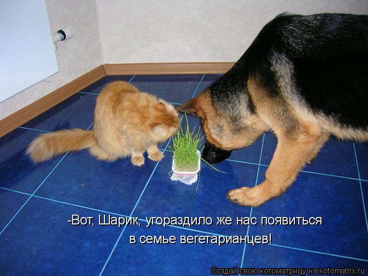 -Вот, Шарик, угораздило же нас появиться в семье вегетарианцев!... Котоматрица: -Вот, Шарик, угораздило же нас появиться в семье вегетарианцев!