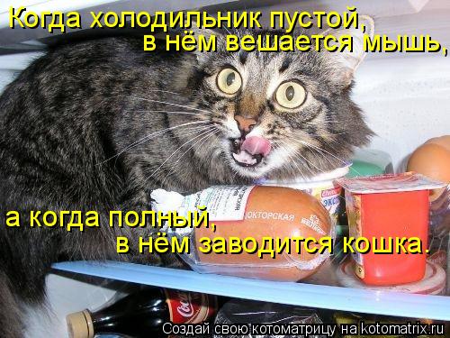 Котоматрица: Когда холодильник пустой, в нём вешается мышь, а когда полный, в нём заводится кошка.