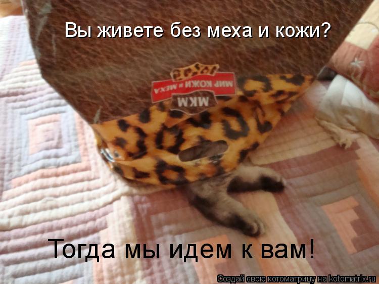 Вы живете без меха и кожи? Тогда мы идем к вам!... Котоматрица: Вы живете без меха и кожи? Тогда мы идем к вам!