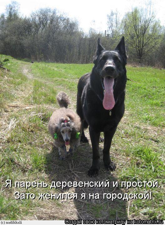 Котоматрица: Я парень деревенский и простой. Зато женился я на городской!