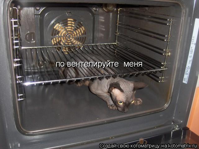 по вентелируйте меня... Котоматрица: по вентелируйте меня