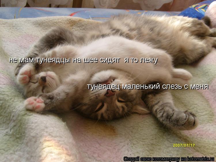 тунеядец маленький слезь с меня не мам тунеядцы на шее сидят я то лежу... Котоматрица: тунеядец маленький слезь с меня не мам тунеядцы на шее сидят я то лежу