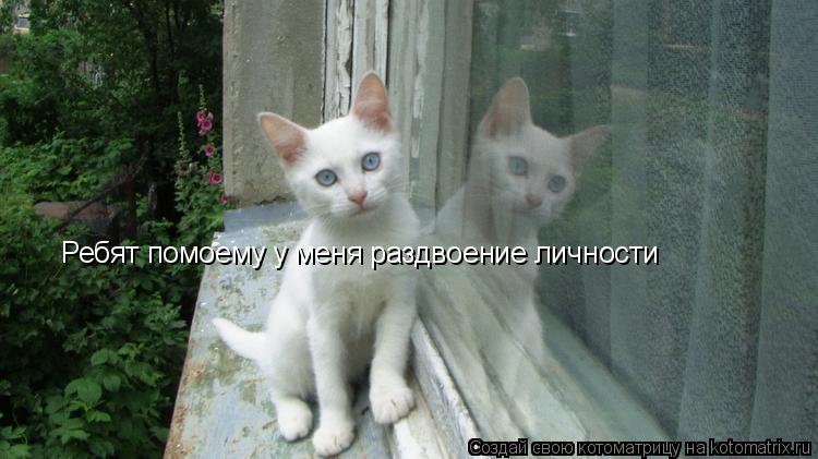 Ребят помоему у меня раздвоение личности... Котоматрица: Ребят помоему у меня раздвоение личности