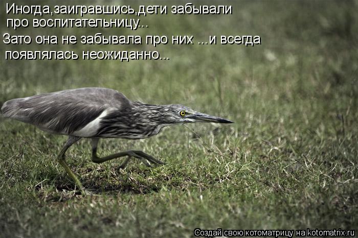Иногда,заигравшись,дети забывали про воспитательницу... Зато она не забывала про них ...и всегда по... Котоматрица: Иногда,заигравшись,дети забывали про воспитательницу... Зато она не забывала про них ...и всегда появлялась неожиданно...