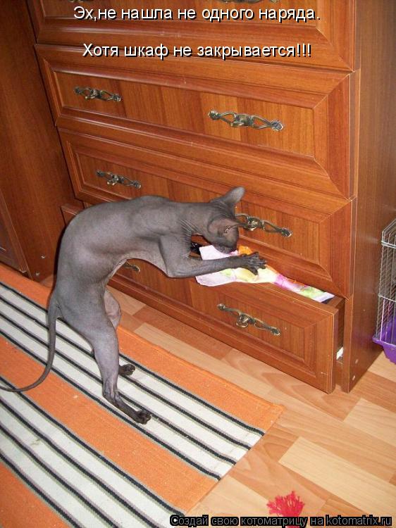 Эх,не нашла не одного наряда. Хотя шкаф не закрывается!!!... Котоматрица: Эх,не нашла не одного наряда. Хотя шкаф не закрывается!!!