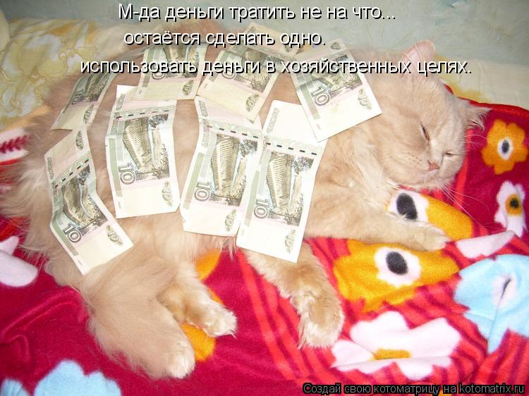 М-да деньги тратить не на что... остаётся сделать одно. использовать деньги в хозяйственных целях.... Котоматрица: М-да деньги тратить не на что... остаётся сделать одно. использовать деньги в хозяйственных целях.