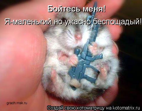 Бойтесь меня! Я-маленький но ужасно беспощадый!... Котоматрица: Бойтесь меня! Я-маленький но ужасно беспощадый!