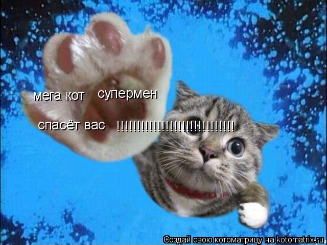супермен мега кот спасёт вас !!!!!!!!!!!!!!!!!!!!!!!!!!!!!... Котоматрица: супермен мега кот спасёт вас !!!!!!!!!!!!!!!!!!!!!!!!!!!!!