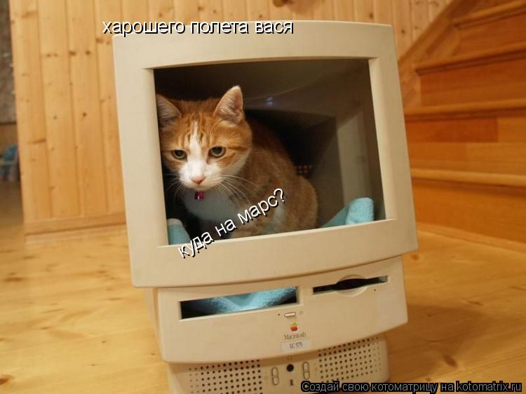 харошего полета вася куда на марс?... Котоматрица: харошего полета вася куда на марс?
